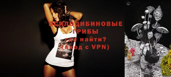 ПСИЛОЦИБИНОВЫЕ ГРИБЫ Армянск