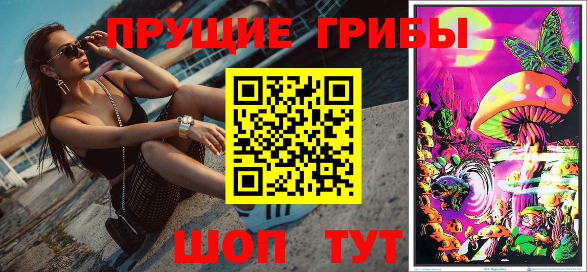Галлюциногенные грибы Psilocybine cubensis Арсеньев